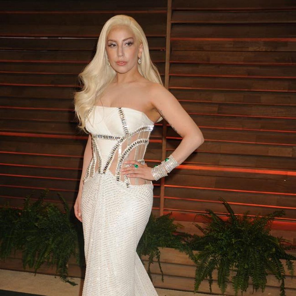Lady Gaga was vomited on by a performance artist on stage. Lady Gaga was vomited on by a performance artist on stage.